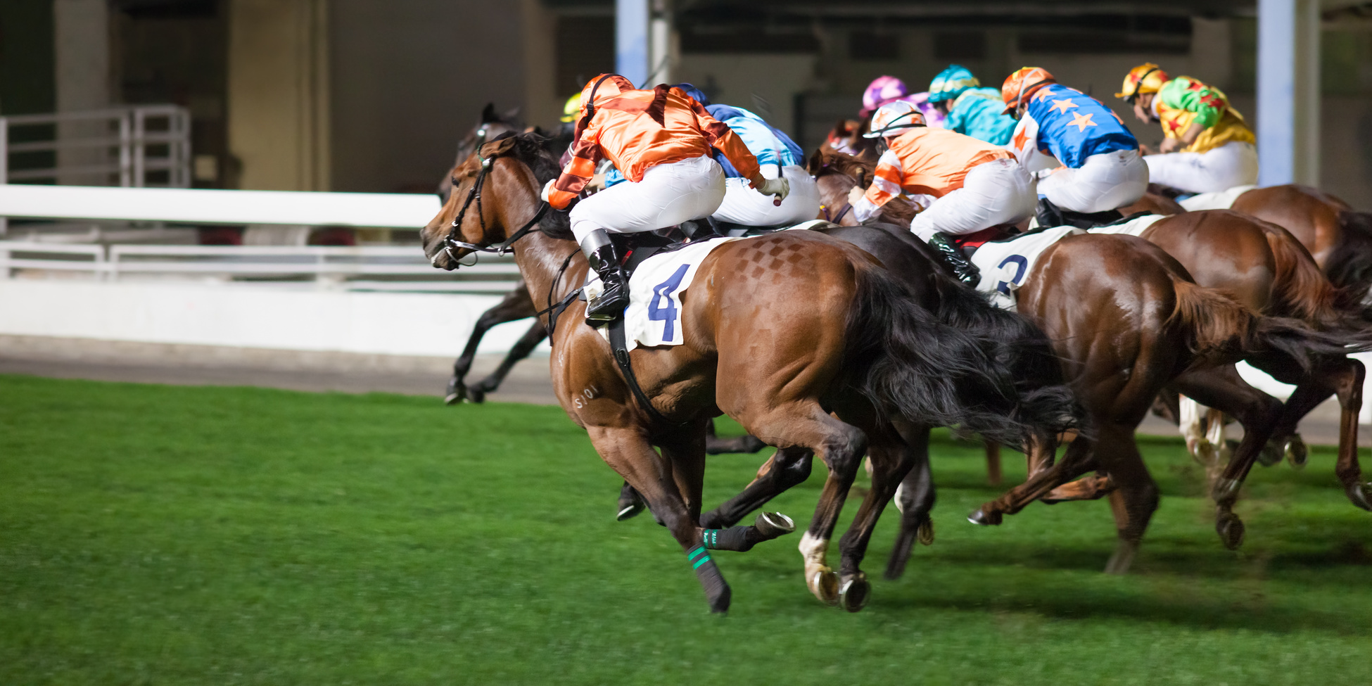 Wyścigi konne – podziw, kibicowanie i hazard